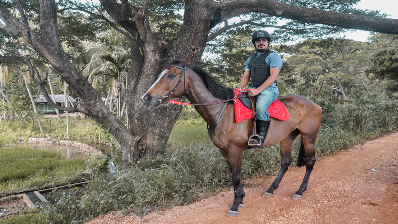 Horse Ride around a Village from Dambulla City