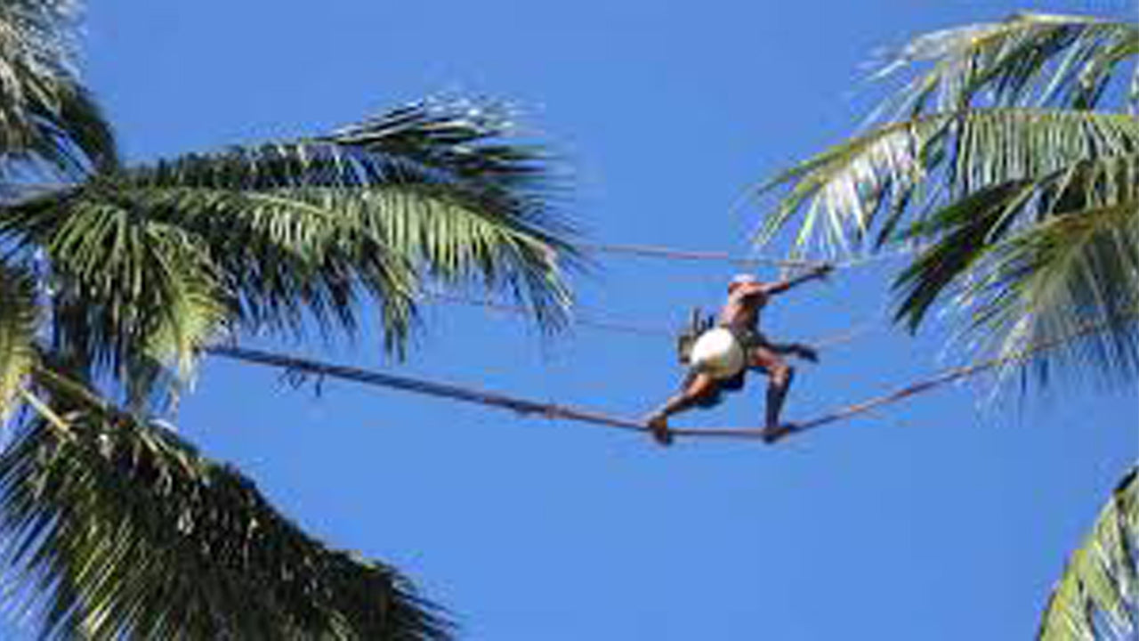Toddy Exploring Tour from Negombo City
