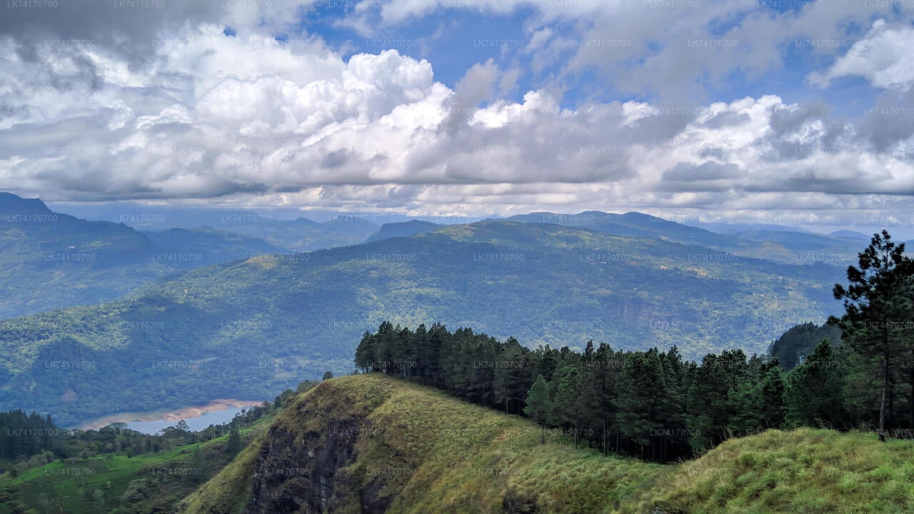 Hike to Peacock Hill from Kandy City