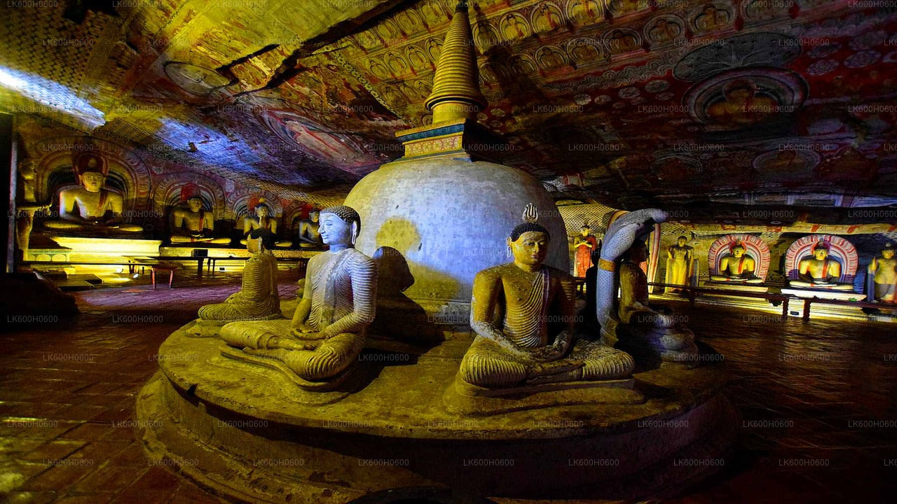 Sigiriya, Dambulla and Village Tour from Colombo City