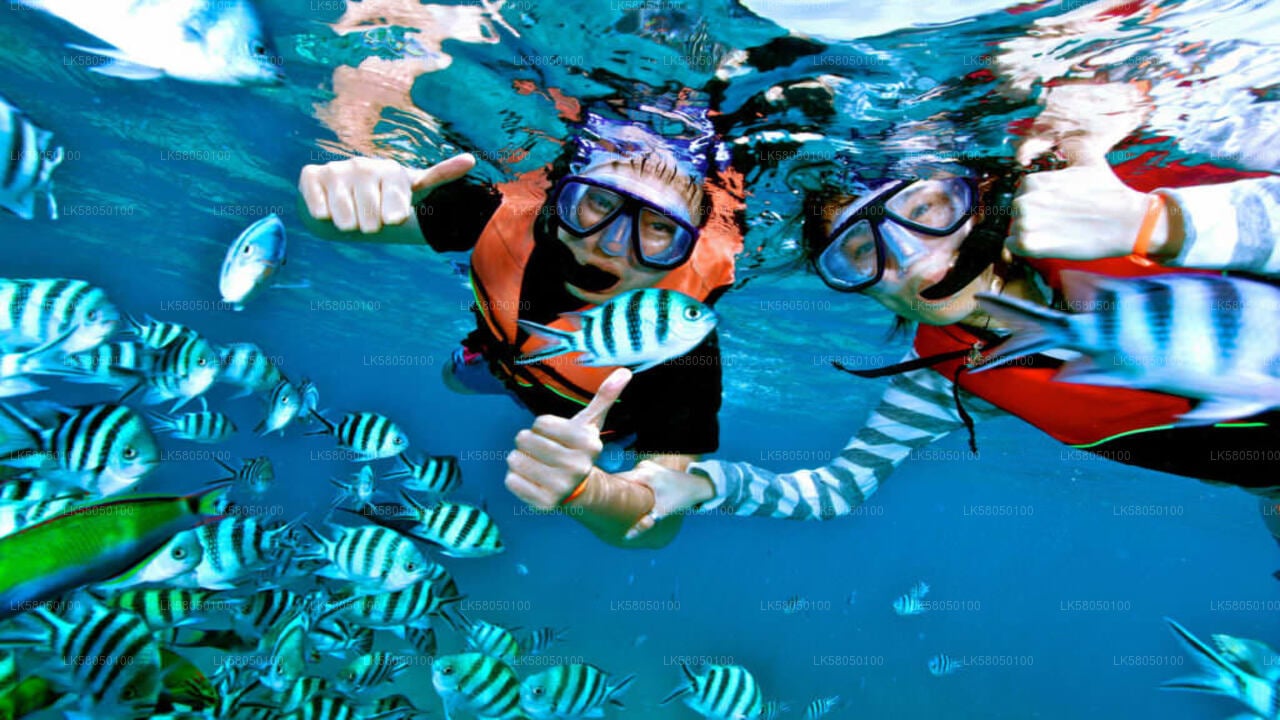 Snorkeling from Negombo City