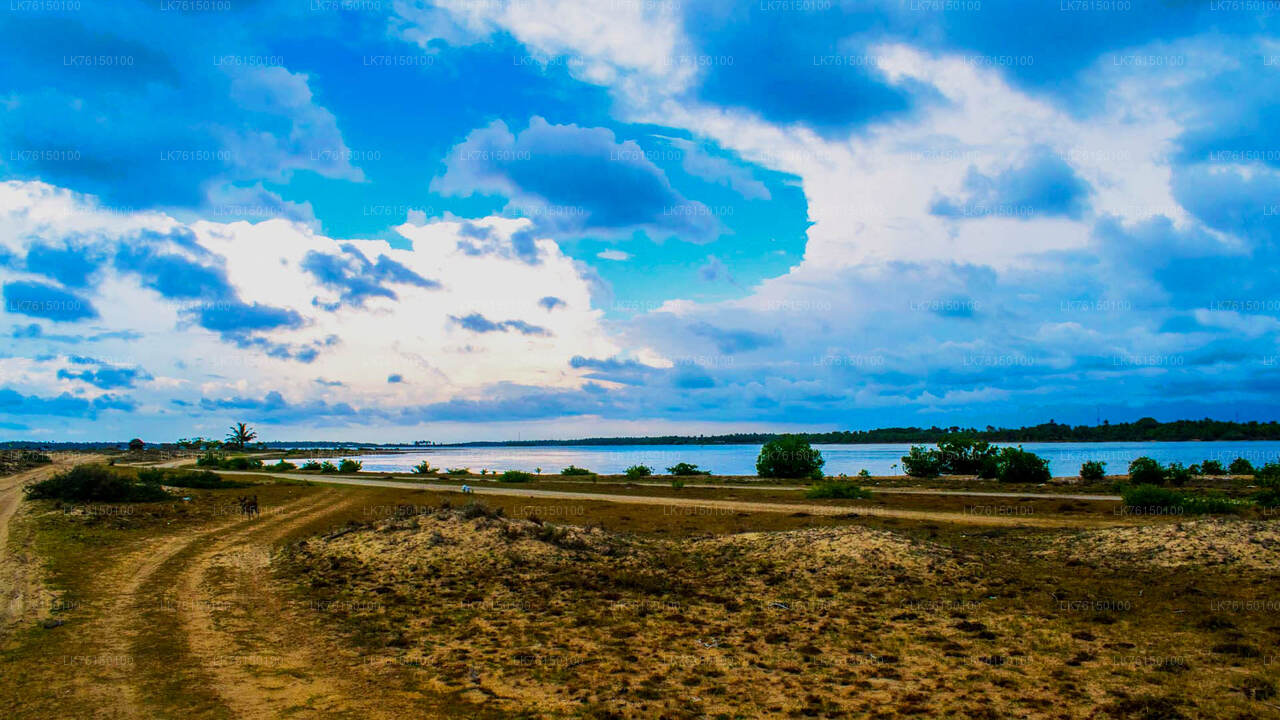 Tour in barca nella laguna da Kalpitiya City