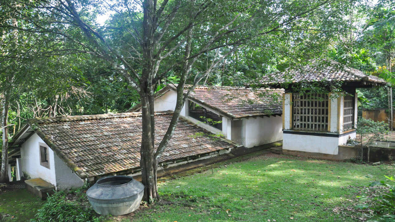 Bentota City Tour from Ahangama City