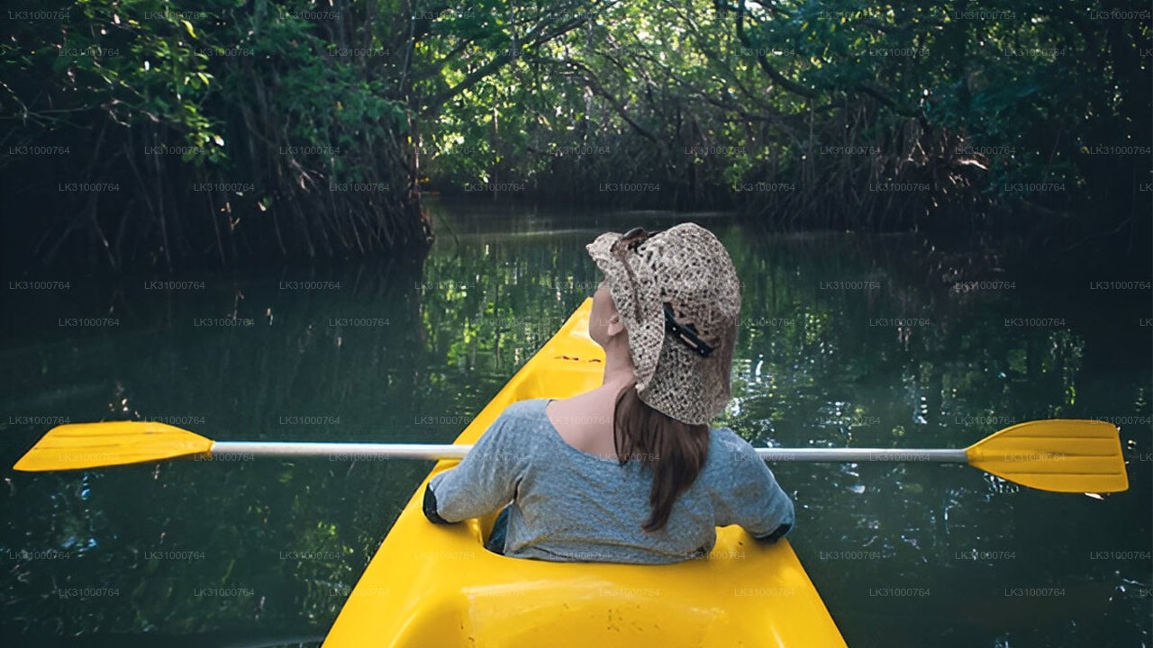 Lagoon Kayaking from Negombo