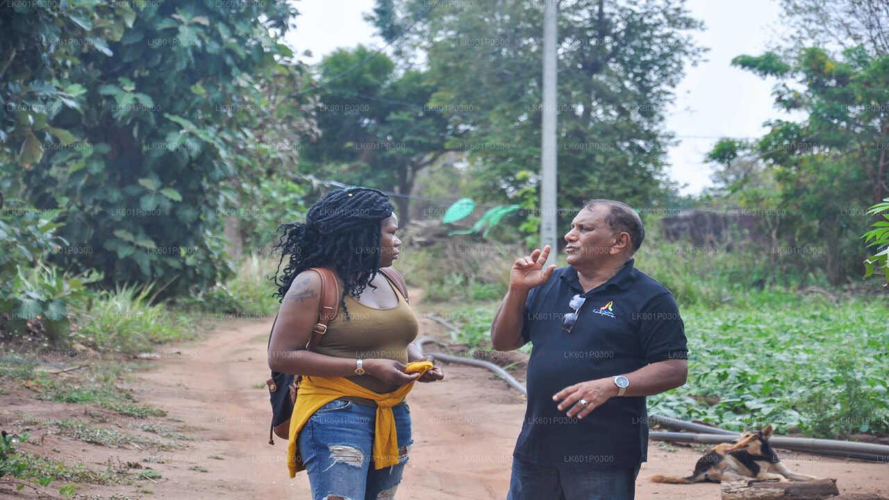 Sigiriya Village Tour from Negombo City
