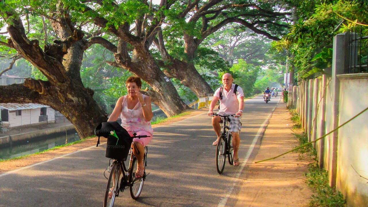 Fishing Village by Bicycle from Negombo City