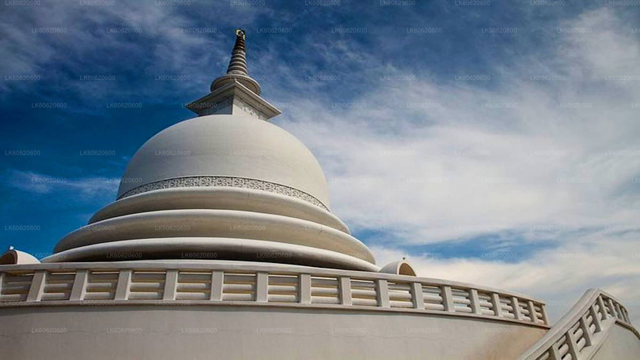 Hidden Temples and Secluded Coastlines Tour from Talpe City