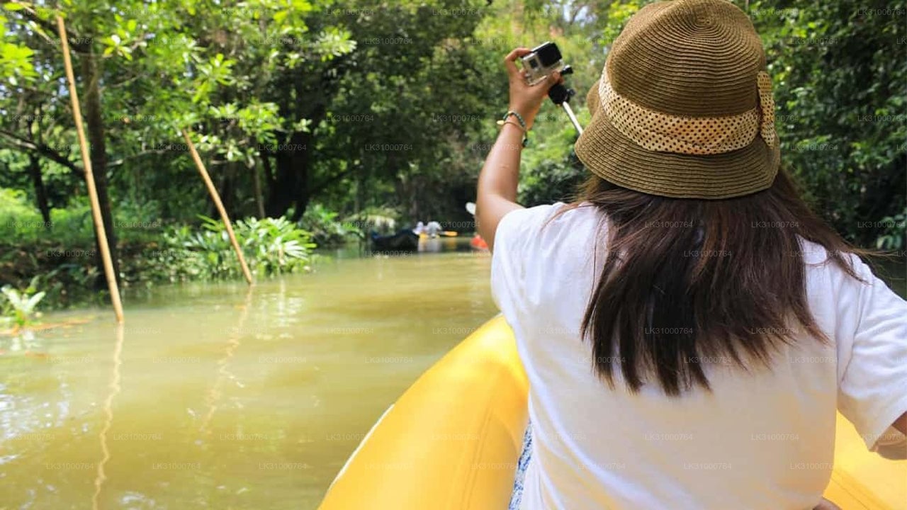Lagoon Kayaking from Negombo
