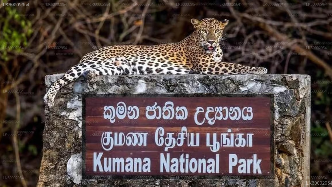 Kumana Safari and Heritage Tour from Arugam Bay