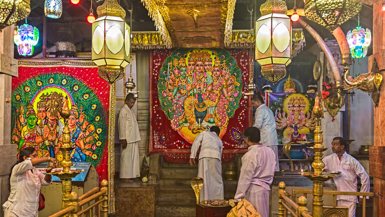 Ancient Temple Run Tour from Hambantota City