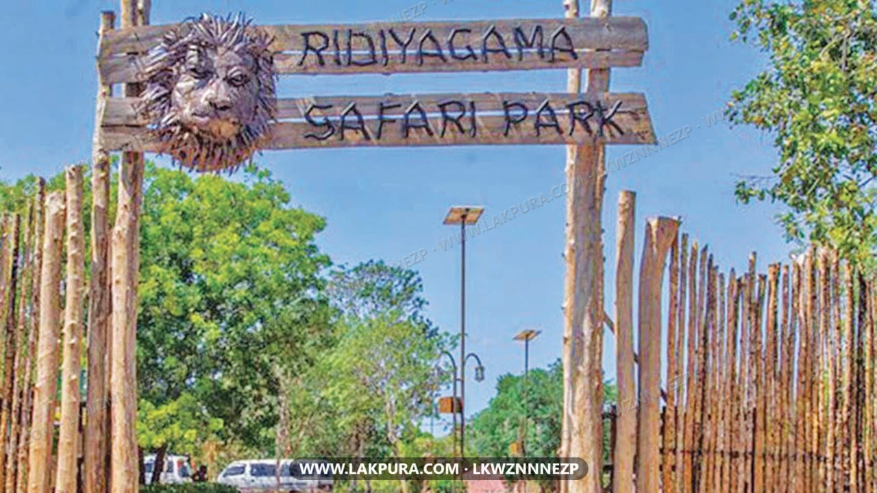 Ridiyagama Safari Park Entrance Tickets