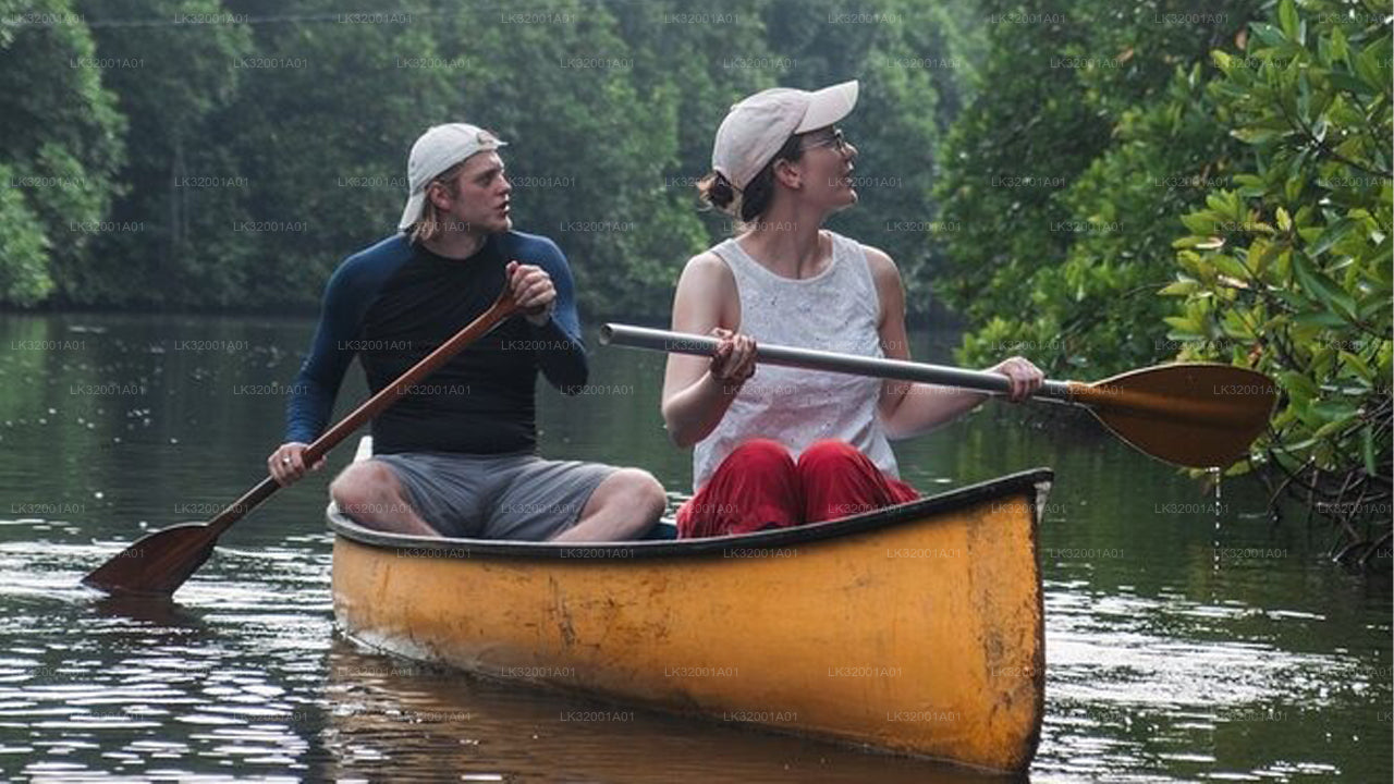 Lagoon Canoeing from Galle City