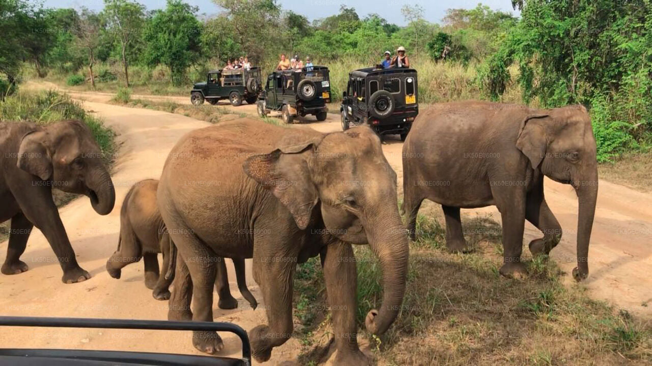 Hurulu Eco Park Private Safari from Dambulla City