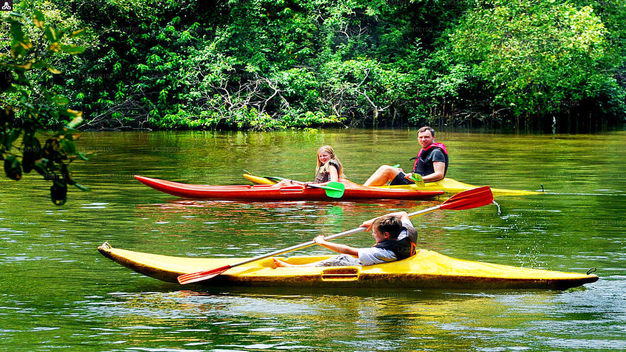 Canoeing from Kitulgala City