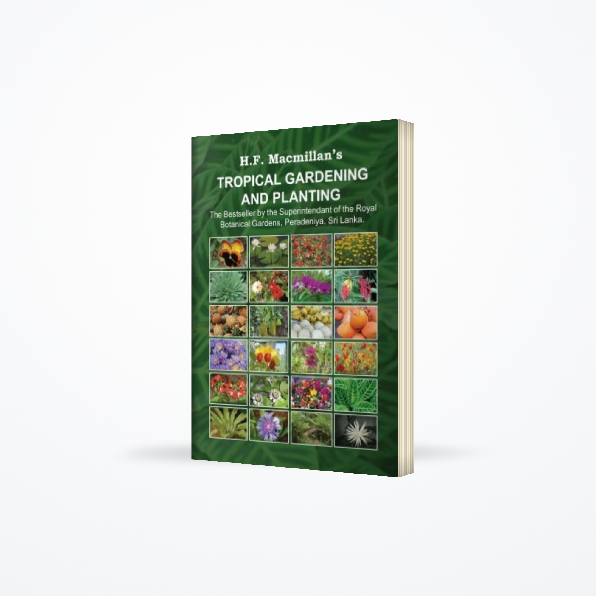 Tropical Gardening and Planting