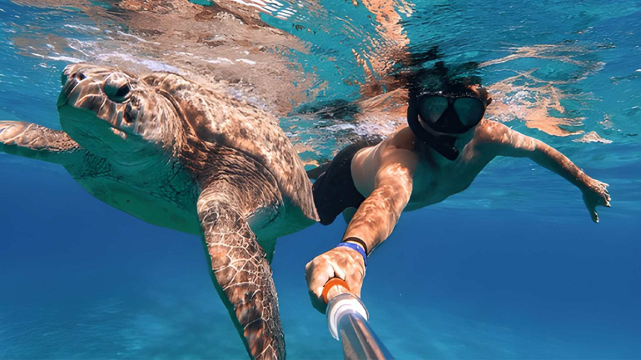 Snorkeling with Sea Turtles from Kosgoda City