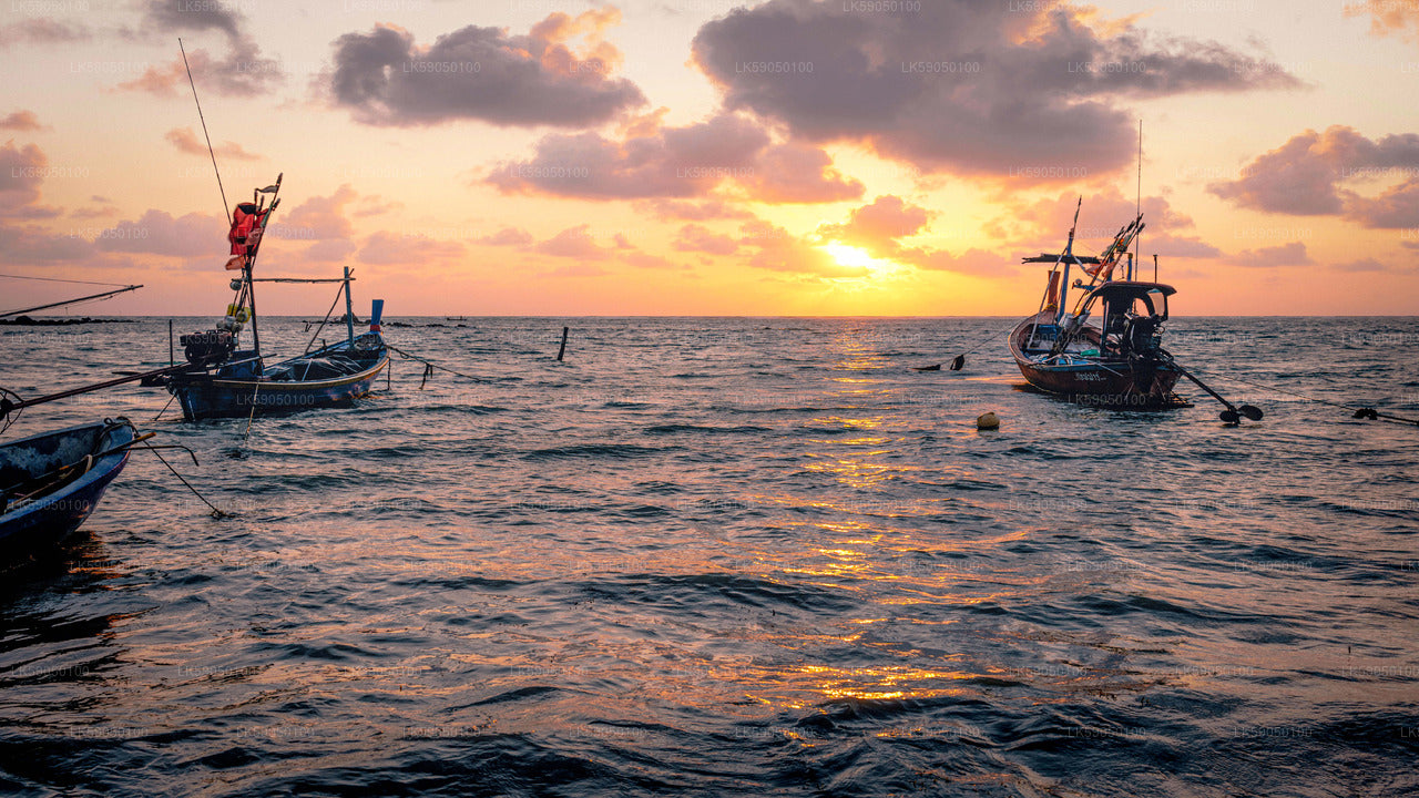 Sport Fishing from Negombo City