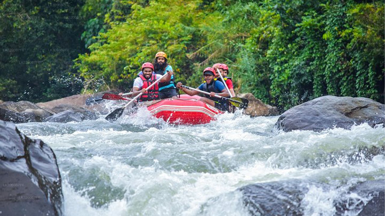 Colombo City to Nuwara Eliya City Private Transfer with Canyoning Adventure