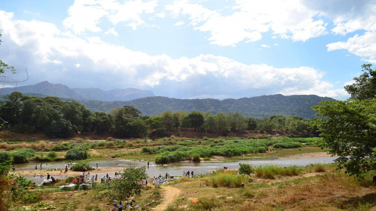 Mahiyanganya and Dambana Day Tour from Kandy City