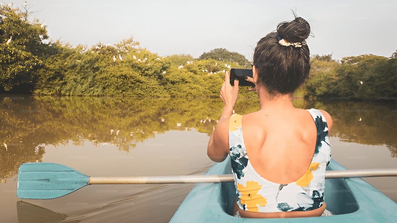 Lagoon Kayaking from Negombo