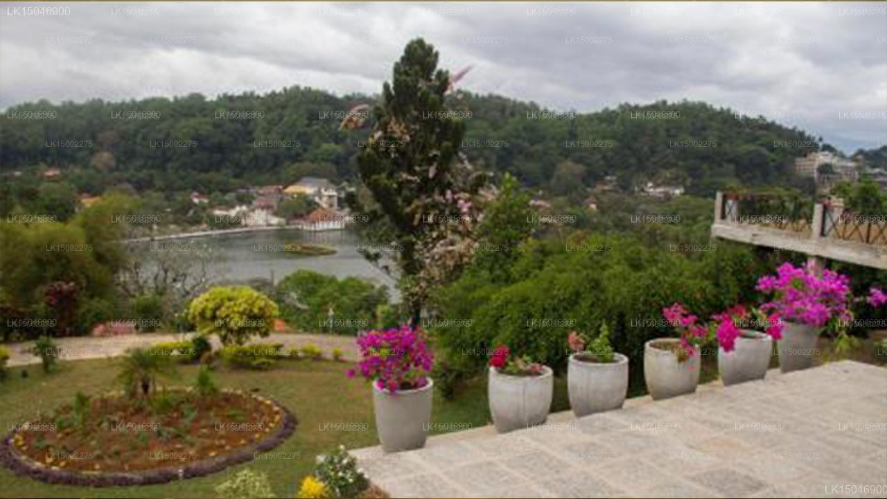 Castle Hill Guest House