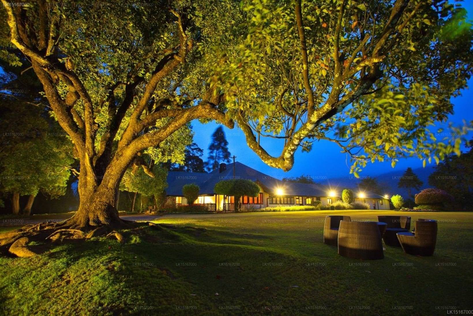 Ferncliff Boutique Bungalow and Spa