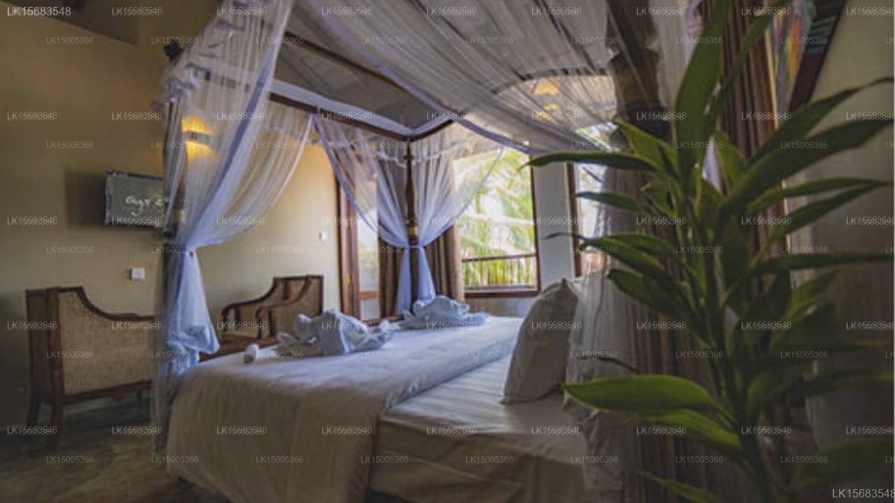 Ayur Ayur Ayurveda Retreat