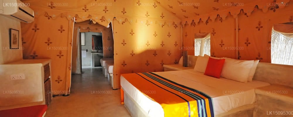 Dolphin Beach Resort