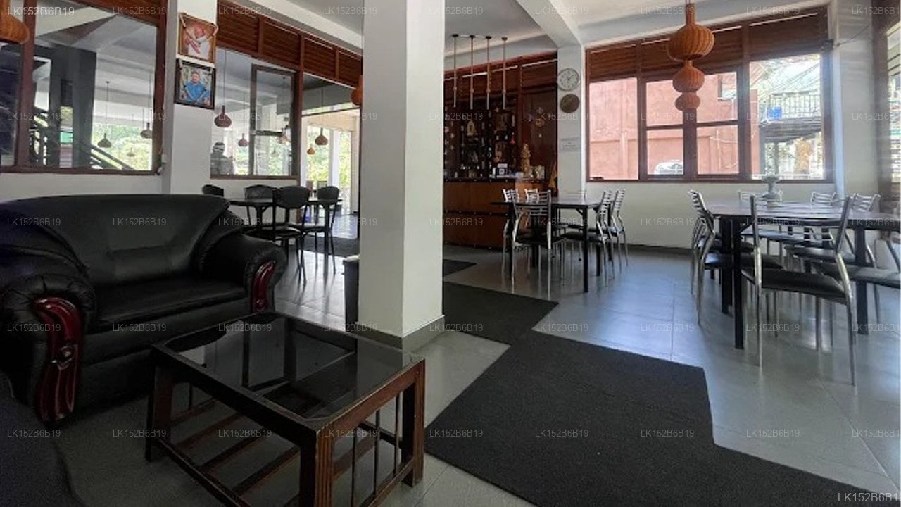 Adams peak Inn