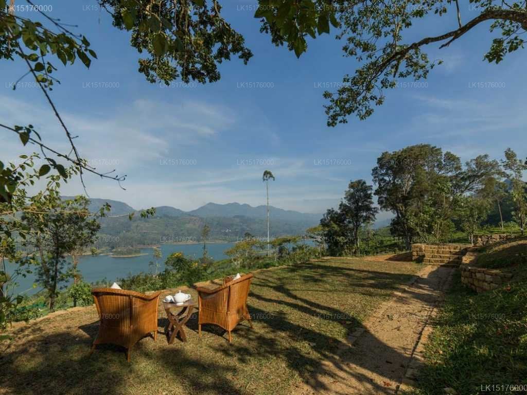 Ceylon Tea Trails