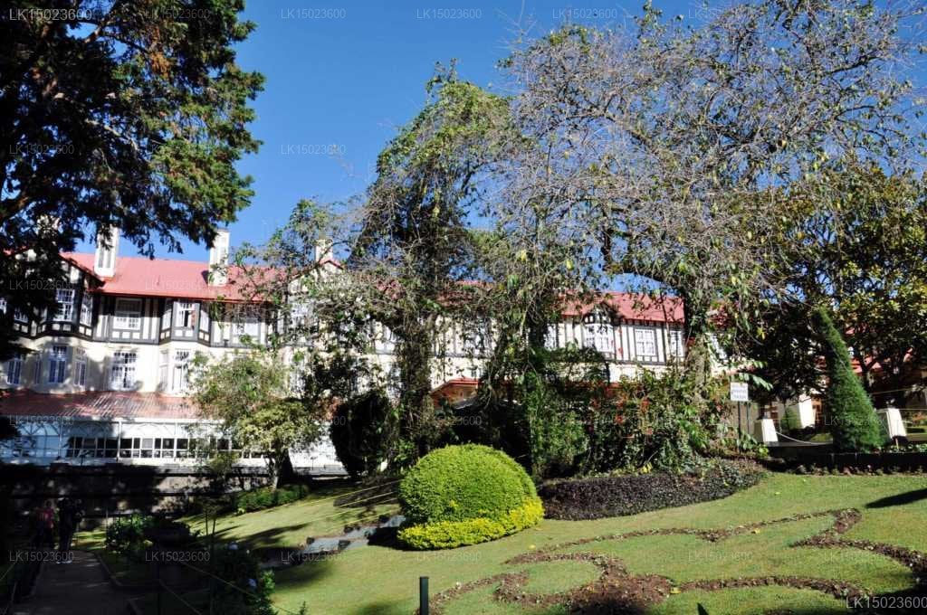 The Grand Hotel