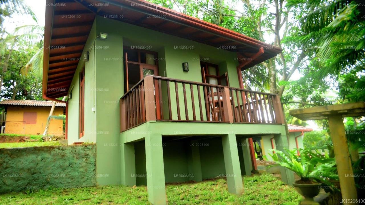 Tropical Retreat