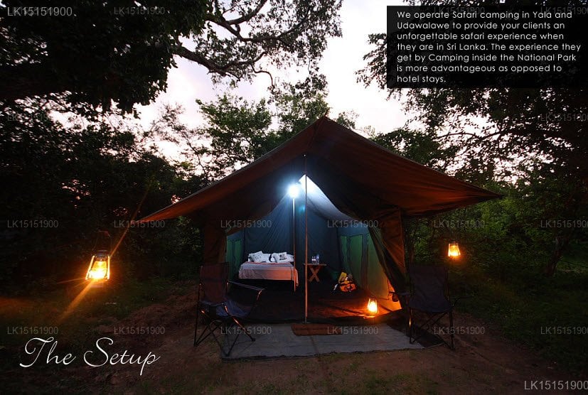 Sri Lanka Tented Safari Camping Yala