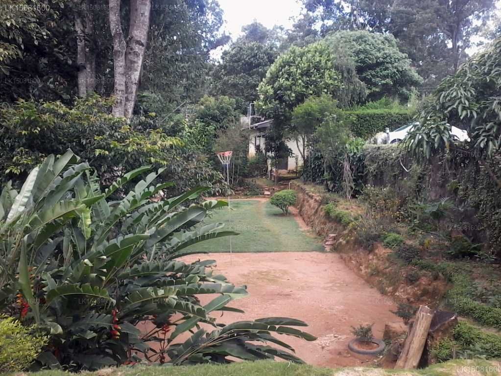 MF Estate Holiday Bungalow