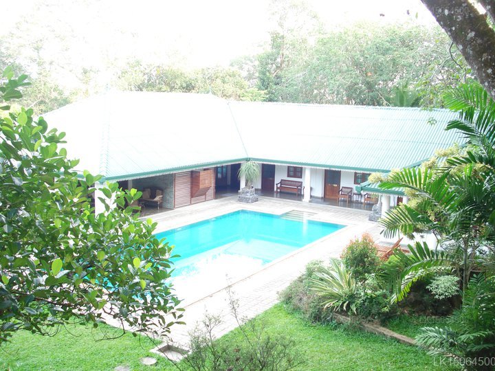 Rock Chalet