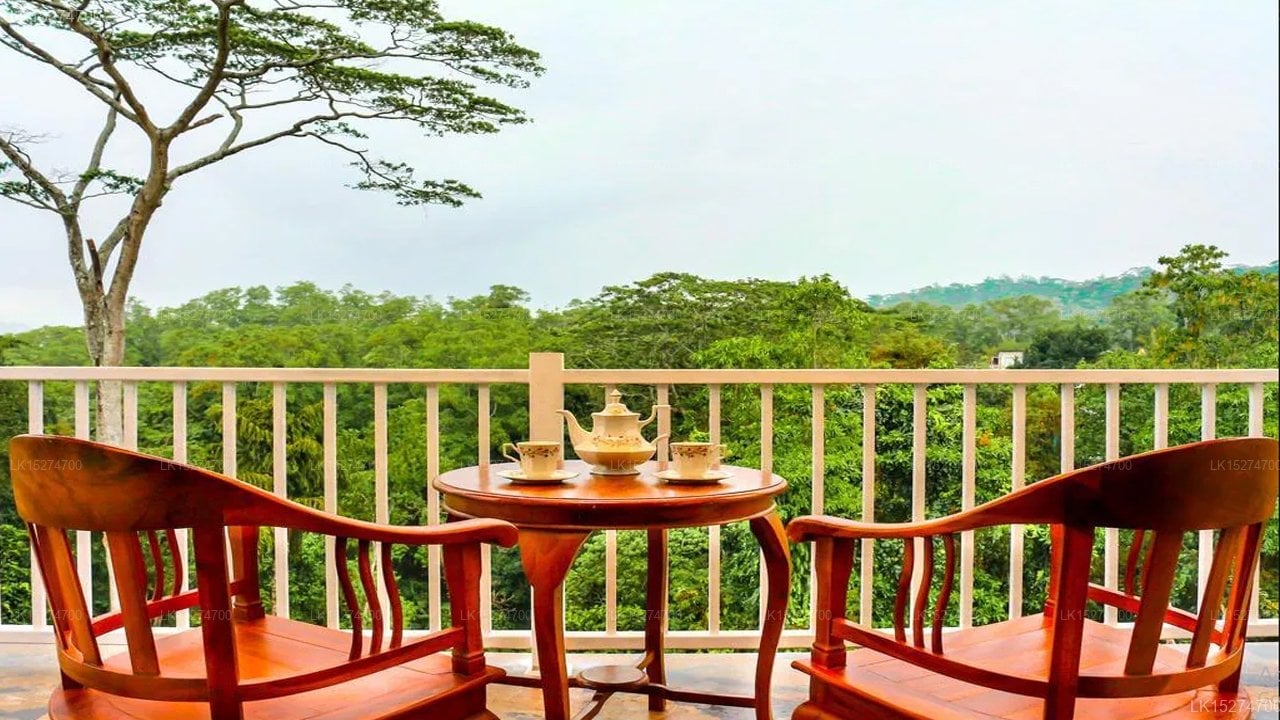 Bee View Home Stay