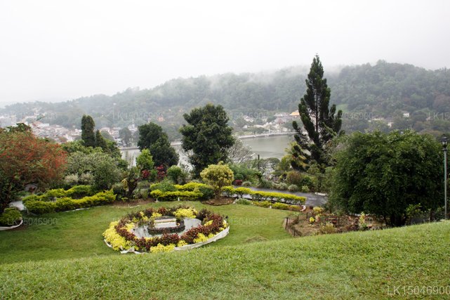 Castle Hill Guest House