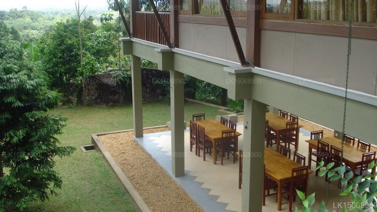 The Nature Lover's Inn