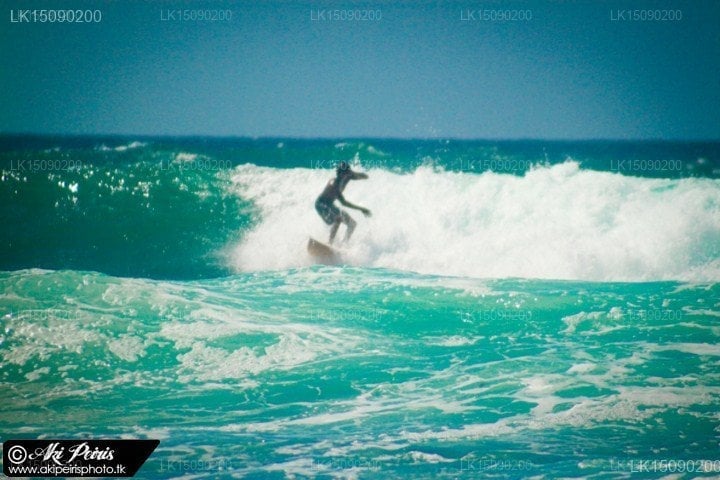 Shaka Sign Surf