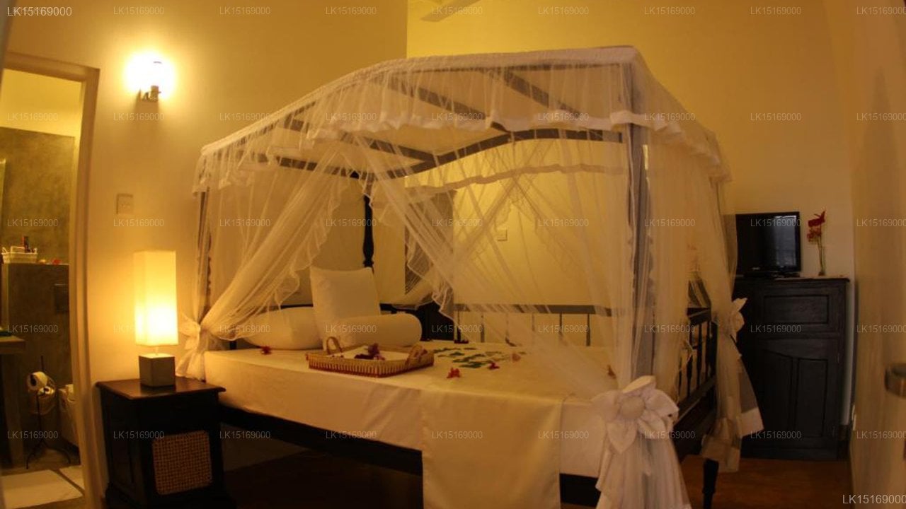 Oasis Ayurveda Bridge
