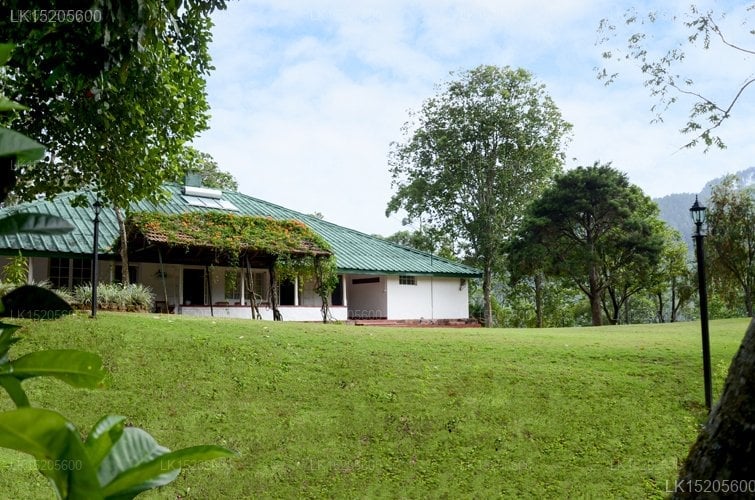 Galaha Tea Bungalow