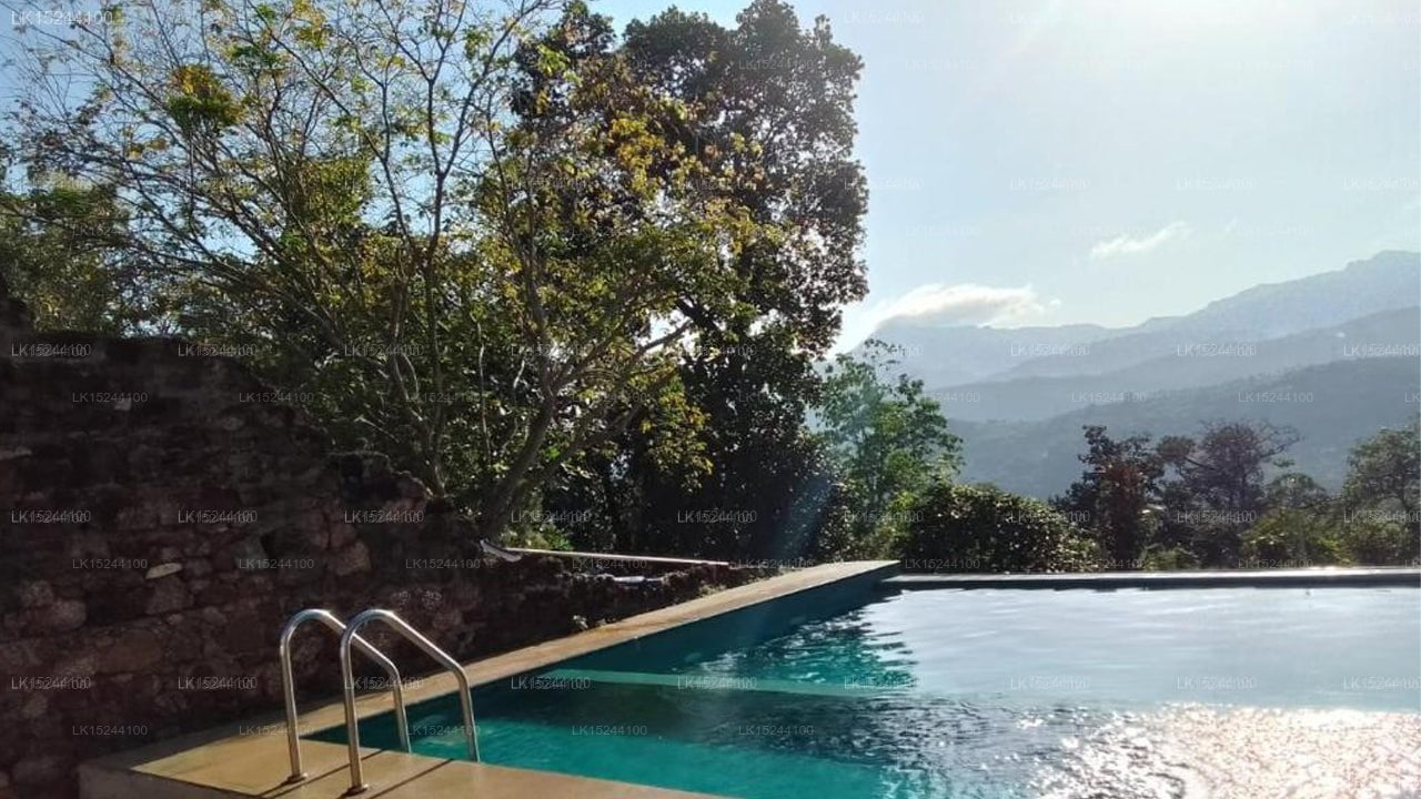 Paradise Forest Garden