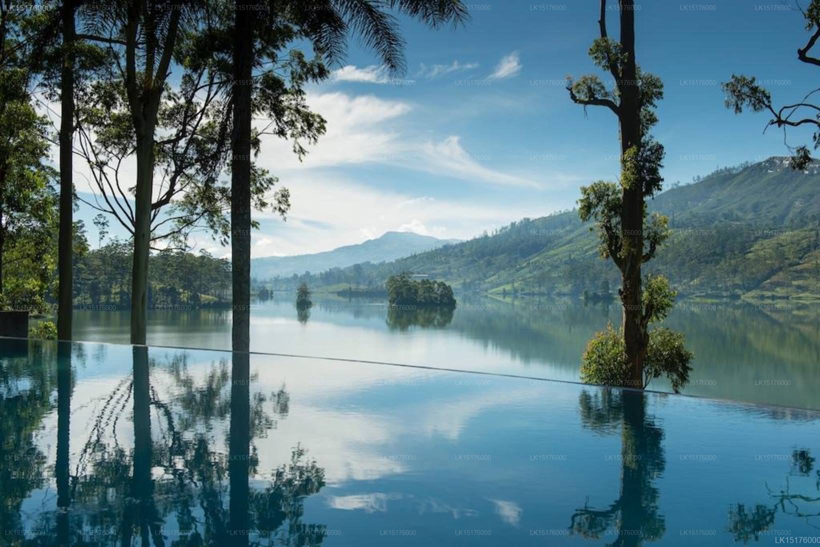 Ceylon Tea Trails