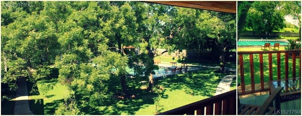 Blue Turtle Hotel