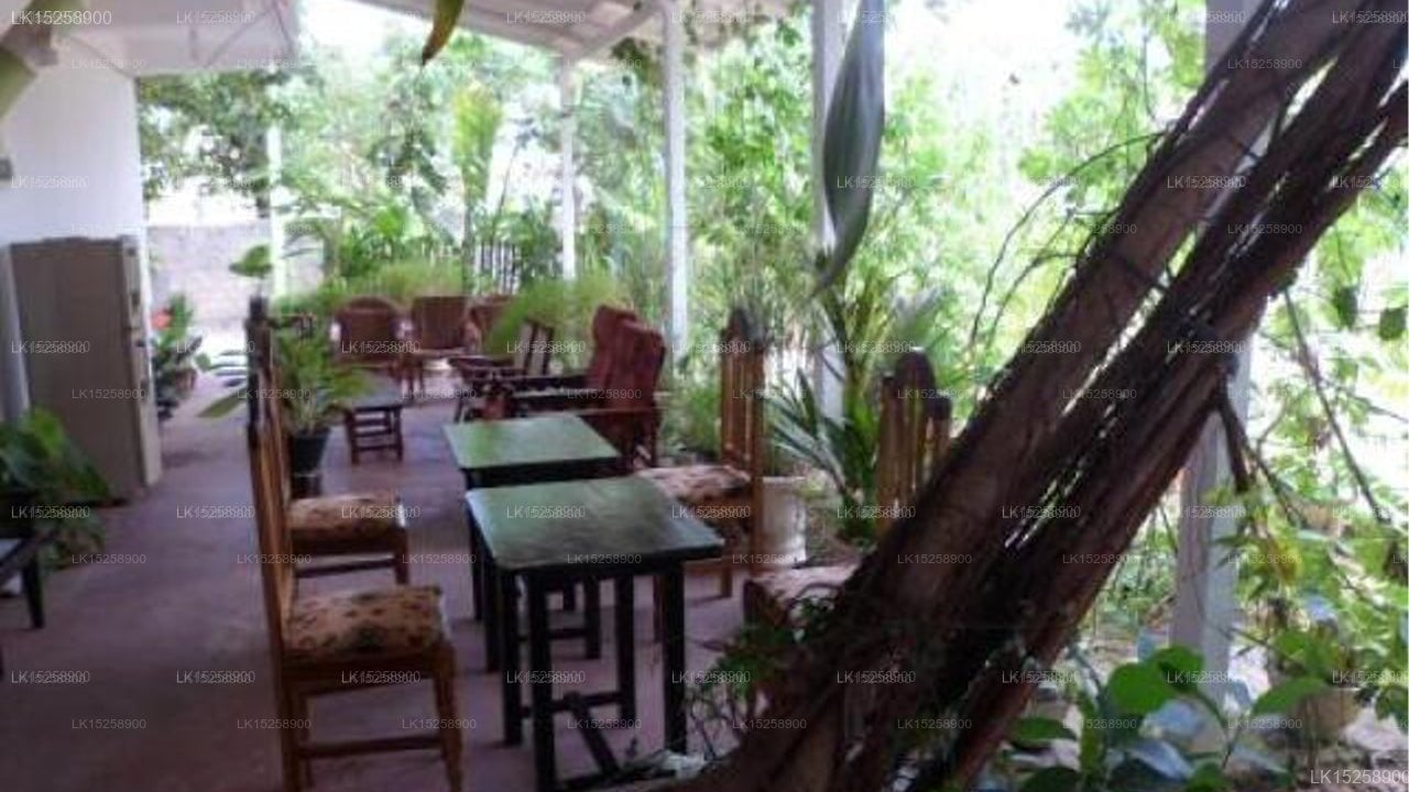 Trinco Mitra Inn