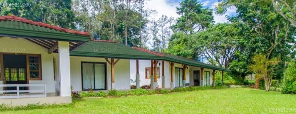 Ceylon Tea Bungalows