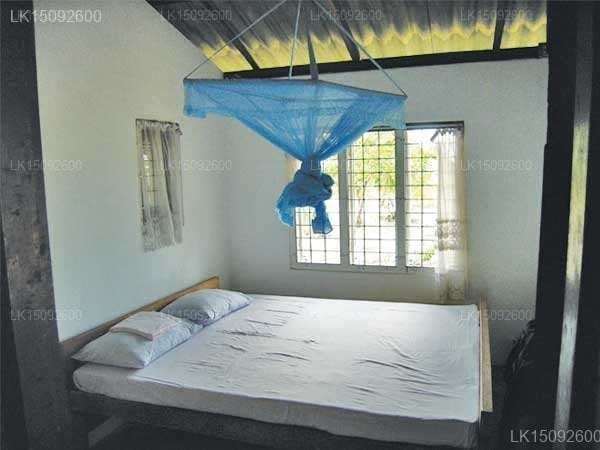 Turtle Point Lodge