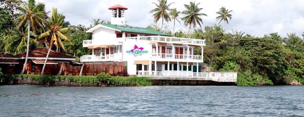 Hotel Orchid