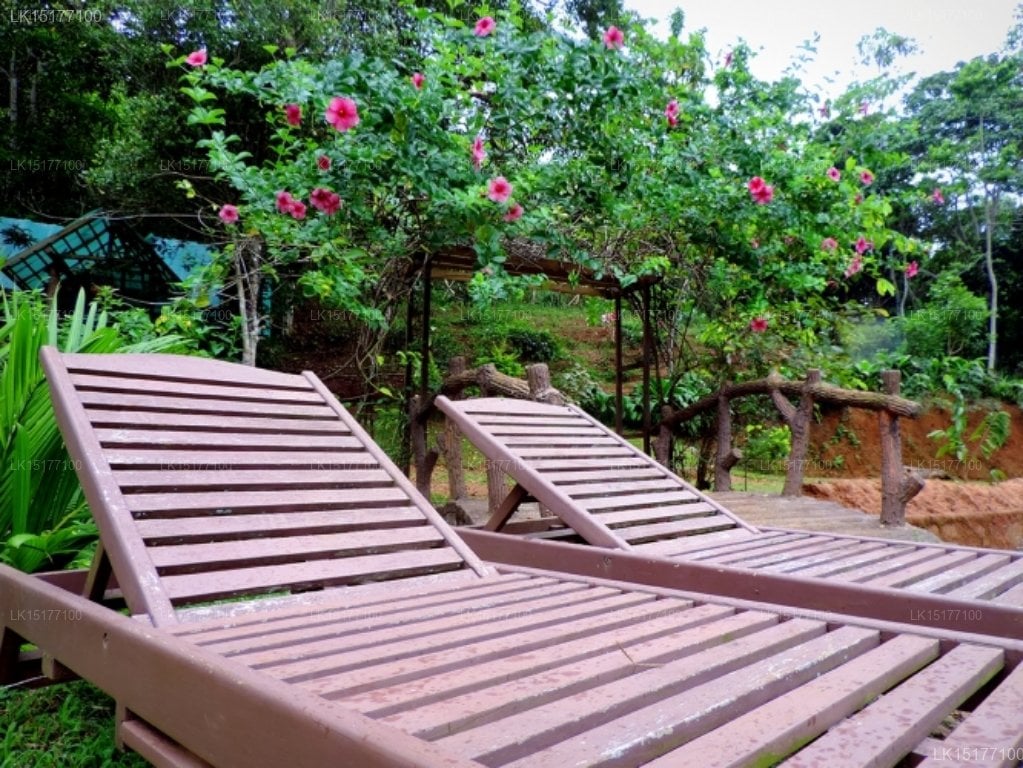 Gadadessa Estate