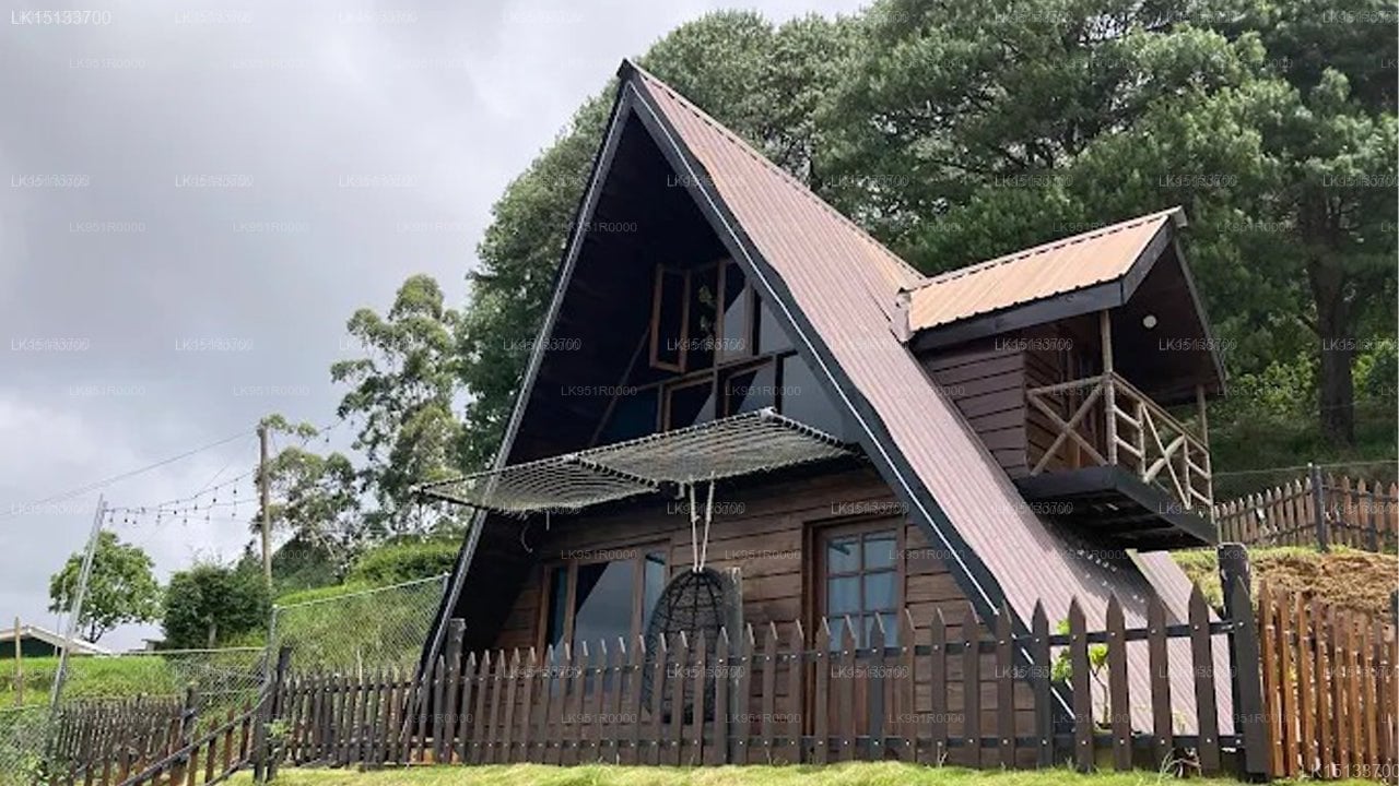 Willmount Cabins